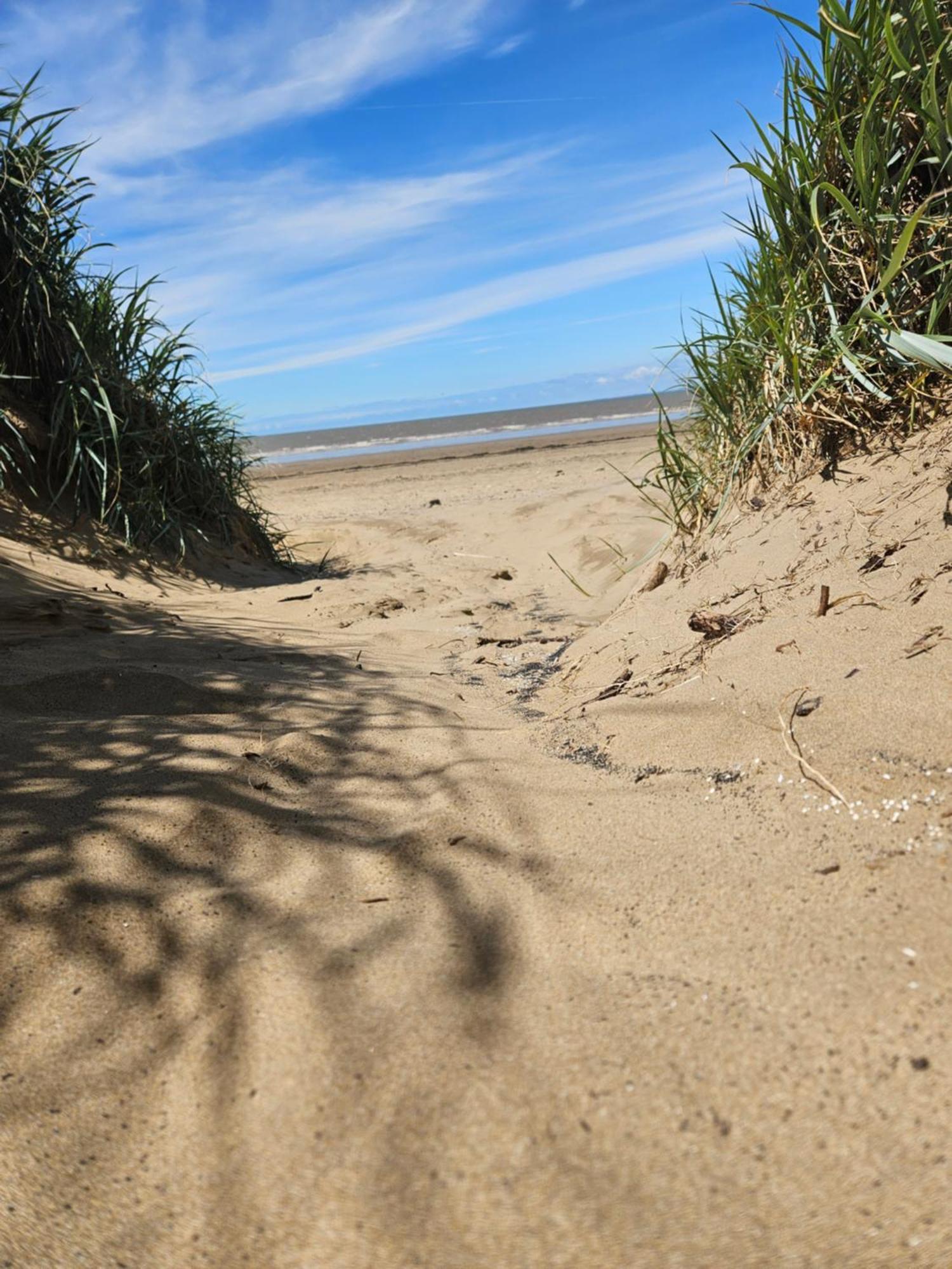 Campsite Beachside *